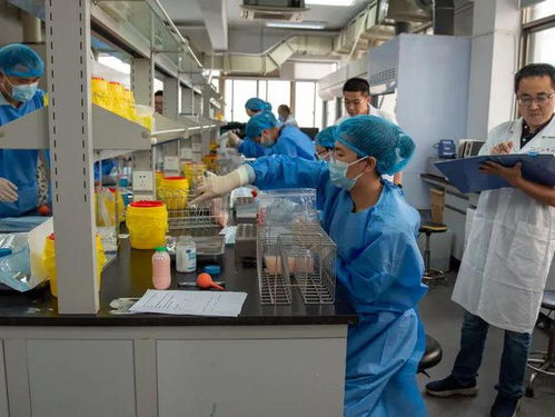台州举行2024年食品检验检测技能大比武